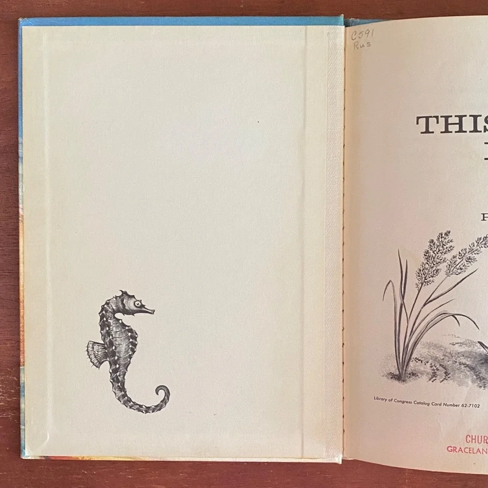 This Home For Me Hardcover Solveig P. Russell